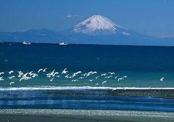 Tateyama Seaside Hotel エクステリア 写真